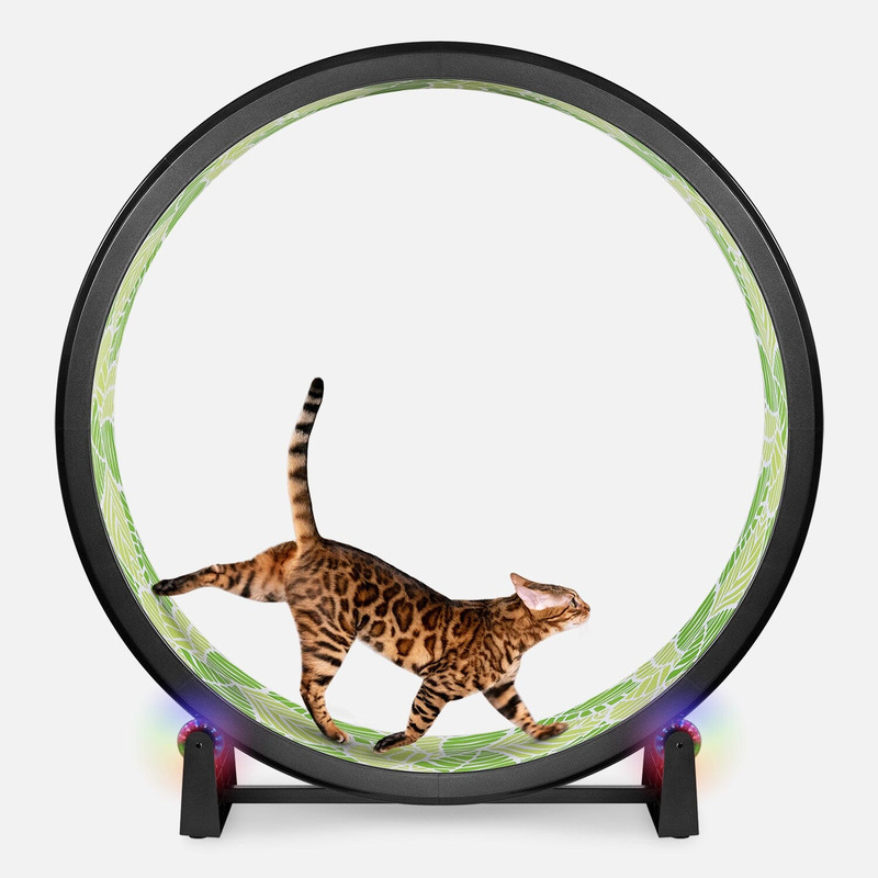 One Fast Cat Gen 7 Cat Exercise Wheel  48 Indoor Running Wheel With Jungle Leaves Foam Traction 4