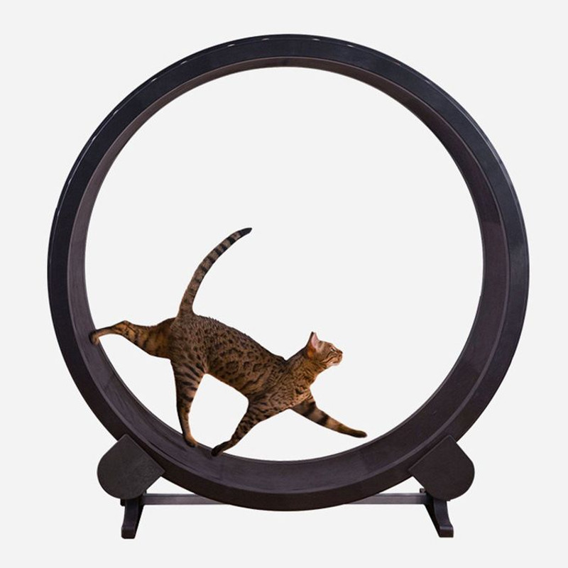 One Fast Cat Gen 7 Cat Exercise Wheel  48 Indoor Running Wheel With Jungle Leaves Foam Traction 0
