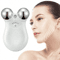 EMS Microcurrent Face Massager With RF Therapy Stainless Steel Double Head Beauty Device For Skin 0