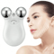 EMS Microcurrent Face Massager With RF Therapy Stainless Steel Double Head Beauty Device For Skin 0