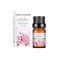 Water Soluble Essential Oil For Diffusers Flower And Fruit Aromatherapy Blend For Relaxation And S 1