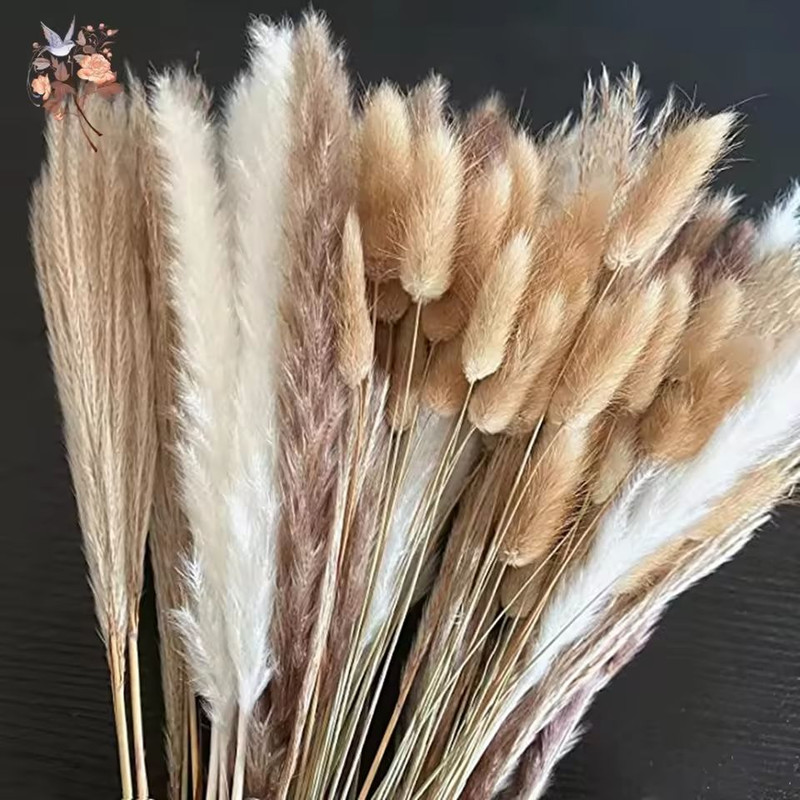 Natural Dried Pampas Grass Bouquet Boho Bunny Tail Flowers For Home Wedding And Vase Decor 0