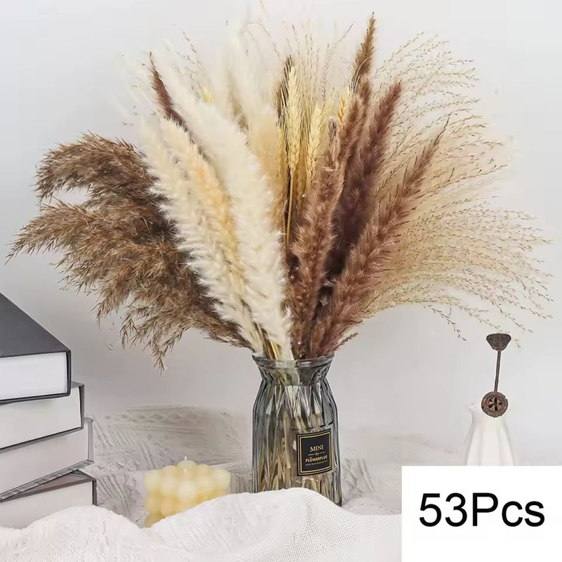 Natural Dried Pampas Grass Bouquet Boho Bunny Tail Flowers For Home Wedding And Vase Decor 12