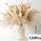Natural Dried Pampas Grass Bouquet Boho Bunny Tail Flowers For Home Wedding And Vase Decor 15