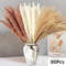 Natural Dried Pampas Grass Bouquet Boho Bunny Tail Flowers For Home Wedding And Vase Decor 16