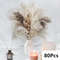Natural Dried Pampas Grass Bouquet Boho Bunny Tail Flowers For Home Wedding And Vase Decor 17