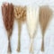Natural Dried Pampas Grass Bouquet Boho Bunny Tail Flowers For Home Wedding And Vase Decor 1