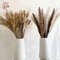 Natural Dried Pampas Grass Bouquet Boho Bunny Tail Flowers For Home Wedding And Vase Decor 2
