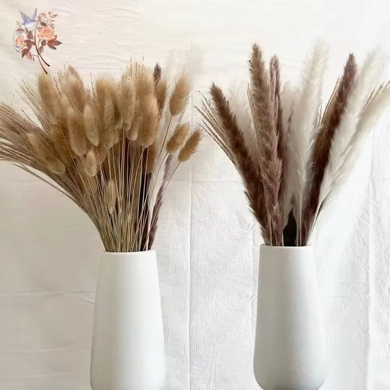 Natural Dried Pampas Grass Bouquet Boho Bunny Tail Flowers For Home Wedding And Vase Decor 2