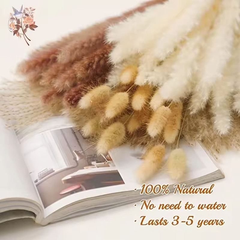 Natural Dried Pampas Grass Bouquet Boho Bunny Tail Flowers For Home Wedding And Vase Decor 3
