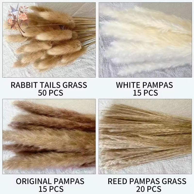Natural Dried Pampas Grass Bouquet Boho Bunny Tail Flowers For Home Wedding And Vase Decor 4
