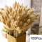 Natural Dried Pampas Grass Bouquet Boho Bunny Tail Flowers For Home Wedding And Vase Decor 20