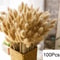 Natural Dried Pampas Grass Bouquet Boho Bunny Tail Flowers For Home Wedding And Vase Decor 20