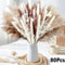 Natural Dried Pampas Grass Bouquet Boho Bunny Tail Flowers For Home Wedding And Vase Decor 7