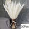 Natural Dried Pampas Grass Bouquet Boho Bunny Tail Flowers For Home Wedding And Vase Decor 18