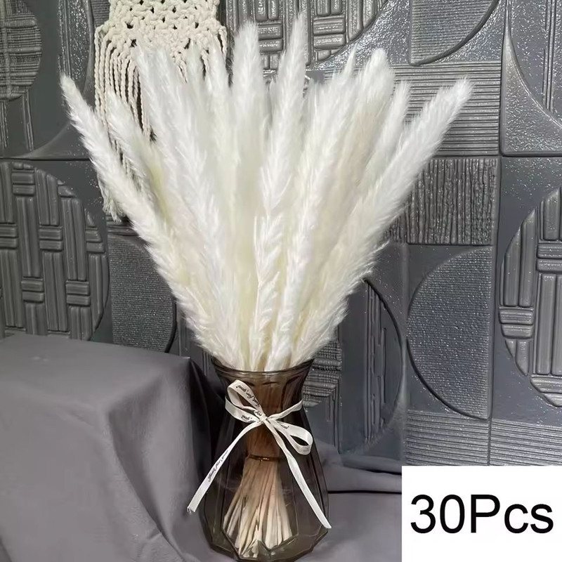 Natural Dried Pampas Grass Bouquet Boho Bunny Tail Flowers For Home Wedding And Vase Decor 18