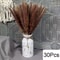 Natural Dried Pampas Grass Bouquet Boho Bunny Tail Flowers For Home Wedding And Vase Decor 19