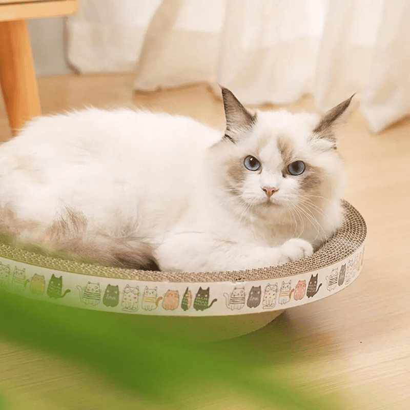Round Cat Scratcher Bed With Cardboard Scratch Pad For Indoor Cats 2