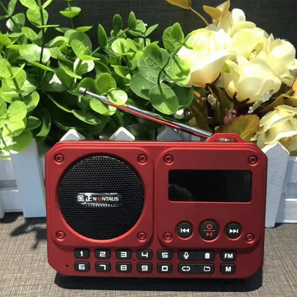 Mini Portable FM Radio With Bluetooth Speaker And TF Card Playback 0