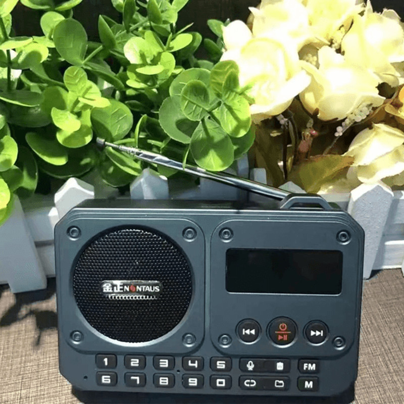 Mini Portable FM Radio With Bluetooth Speaker And TF Card Playback 1