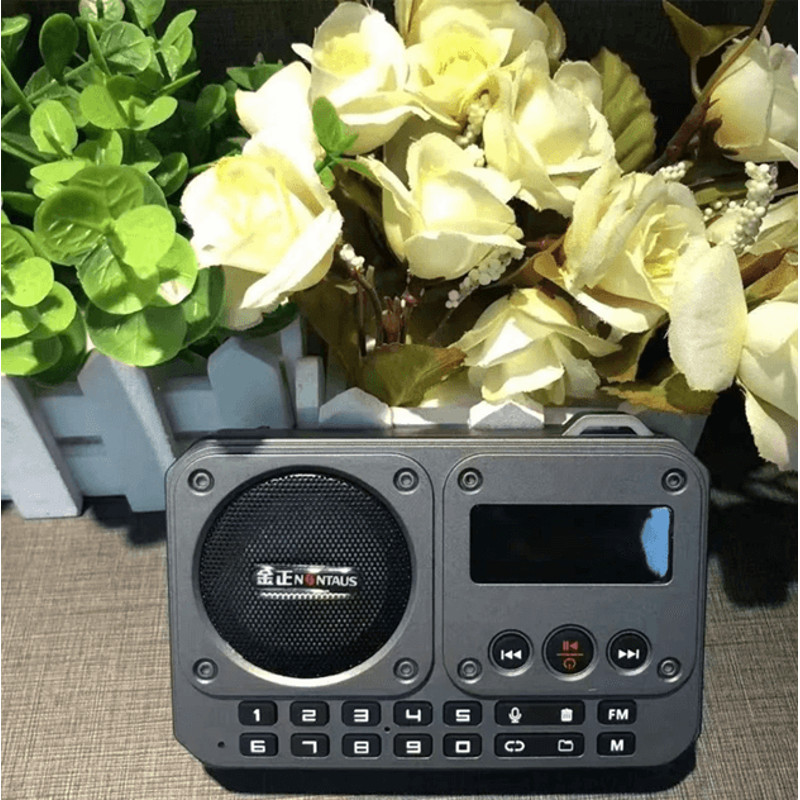 Mini Portable FM Radio With Bluetooth Speaker And TF Card Playback 2