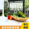 Vegetable Storage Container With Lid For Refrigerator Organization And Freshness 0