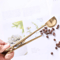 2 In 1 Stainless Steel Coffee Measuring Scoop With Sealing Clip For Coffee And Tea 2