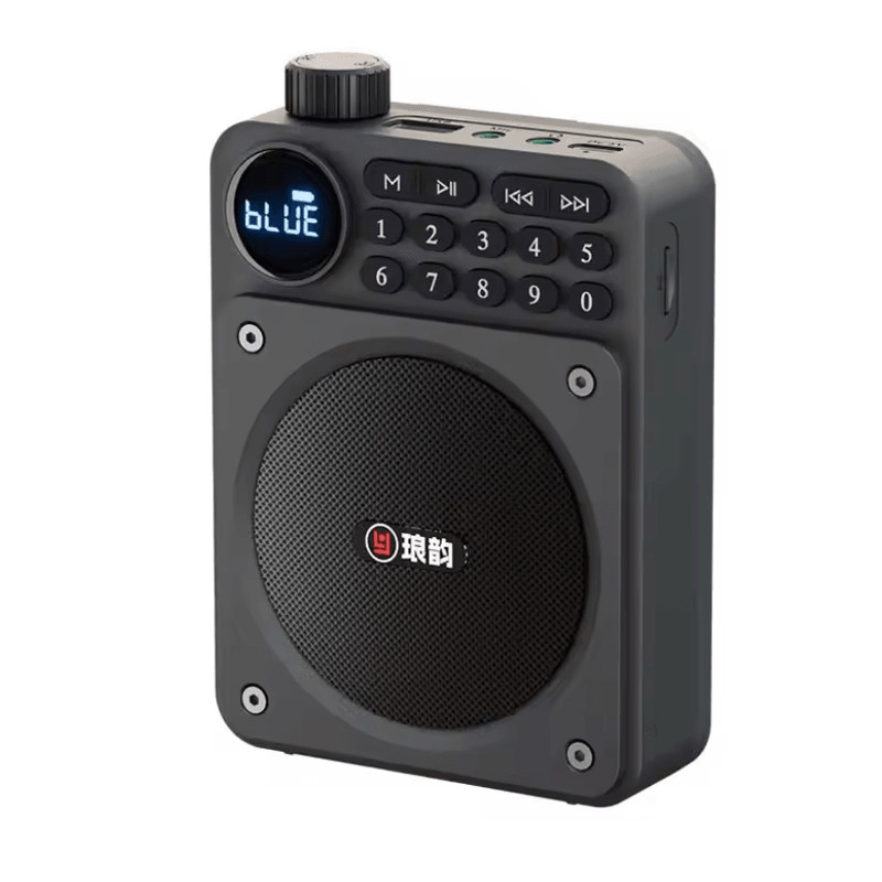 Mini Digital FM Radio Speaker With Bluetooth 53 USB TF Card Slot And Voice Amplifier 3