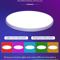 Smart WiFi LED Ceiling Light With App Control Voice Control RGB Lighting 2