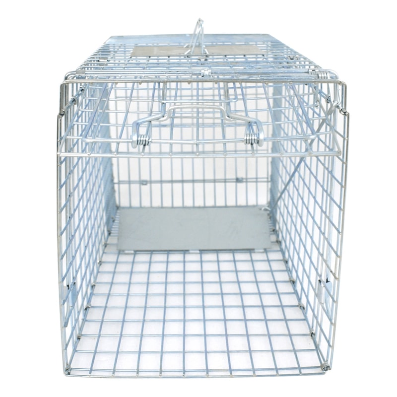 Heavy Duty Live Animal Trap Cage For Raccoons Skunks And Small Wildlife 2
