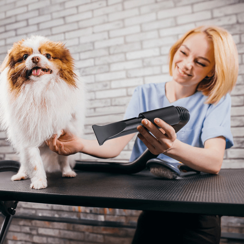 FastDry Pro Pet Hair Dryer With Adjustable Heat And 3 Nozzles 5