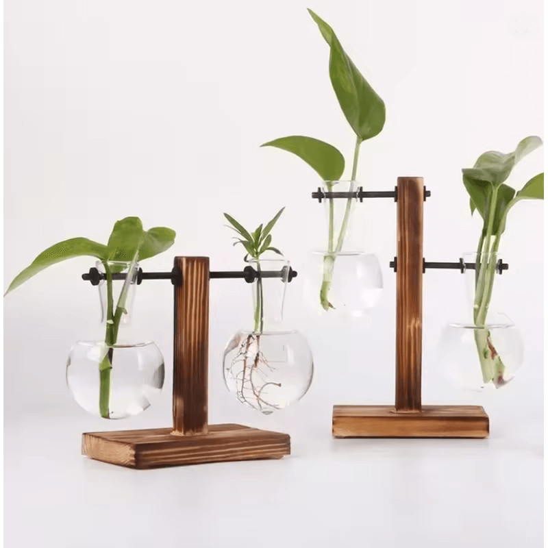 Glass Hydroponic Vase For Plants Minimalist Terrarium For Desk And Home Decor 0
