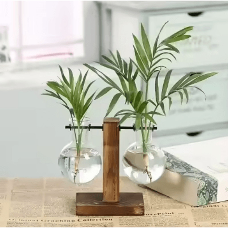 Glass Hydroponic Vase For Plants Minimalist Terrarium For Desk And Home Decor 4