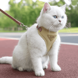 pawcomfort breathable mesh pet harness and leash set