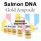 Stayve Salmon DNA Gold Ampoule BB Glow Starter Kit 0