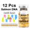 Stayve Salmon DNA Gold Ampoule BB Glow Starter Kit 4