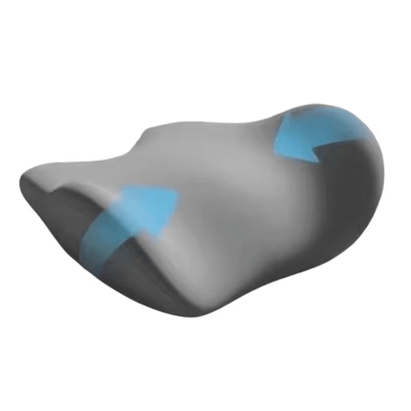 DreamCurve Lumbar Support Cushion 4