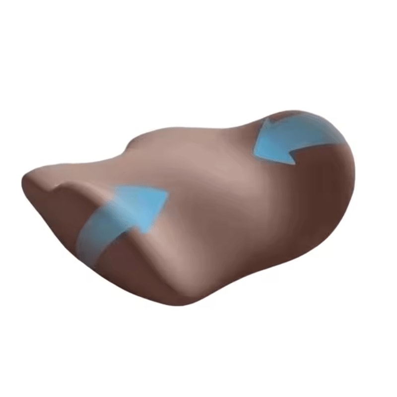 DreamCurve Lumbar Support Cushion 5