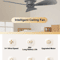 USB Rechargeable Ceiling Camping Fan With LED And Remote 0