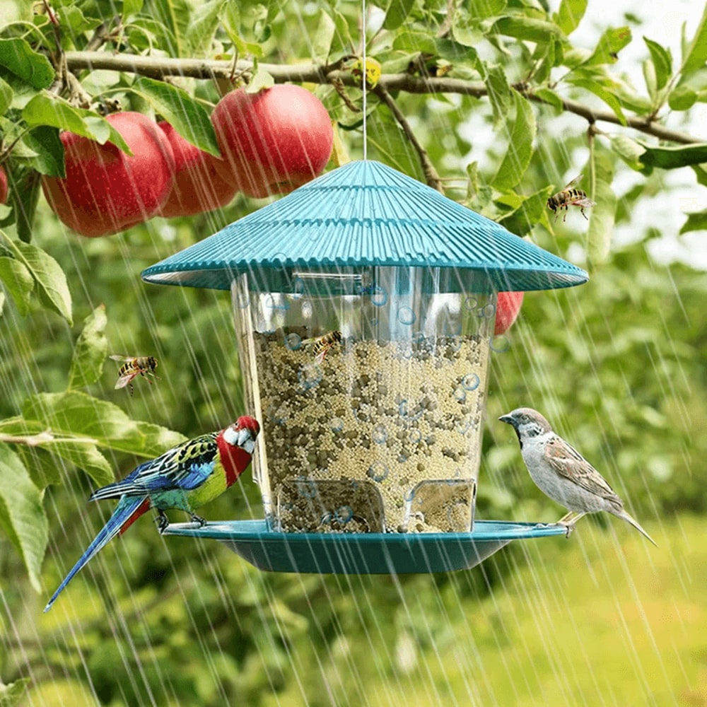 Automatic Hanging Bird Feeder With MultiHole Dispenser 5