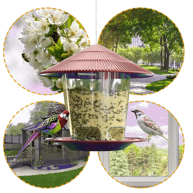 Automatic Hanging Bird Feeder With MultiHole Dispenser 6