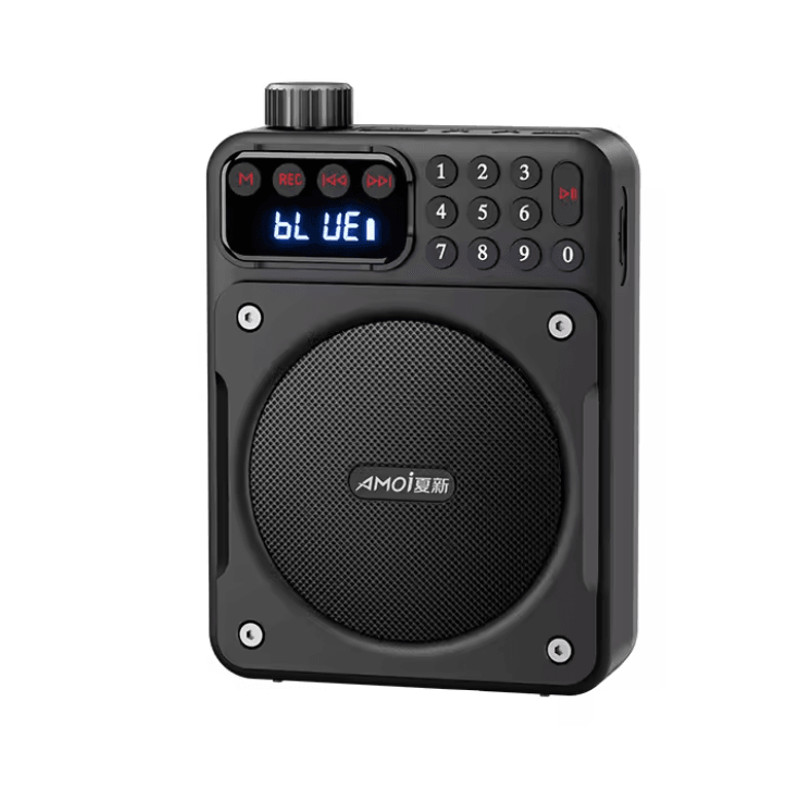 Mini Digital FM Radio Bluetooth Speaker With USB TF Card Display 2