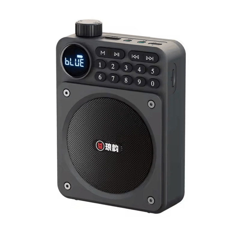 Mini Digital FM Radio Bluetooth Speaker With USB TF Card Display 3