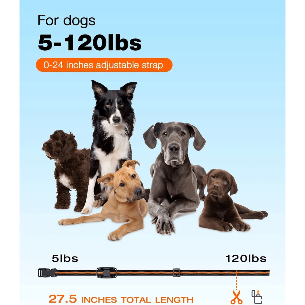 1000M Waterproof Training Collar For 2 Dogs With Shock Vibration And Beep Modes 2