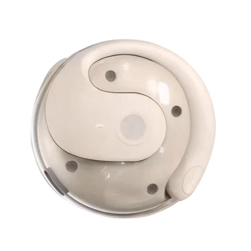 Wireless Translator Earphones Real Time Translator Earbuds Support 144 Languages 3