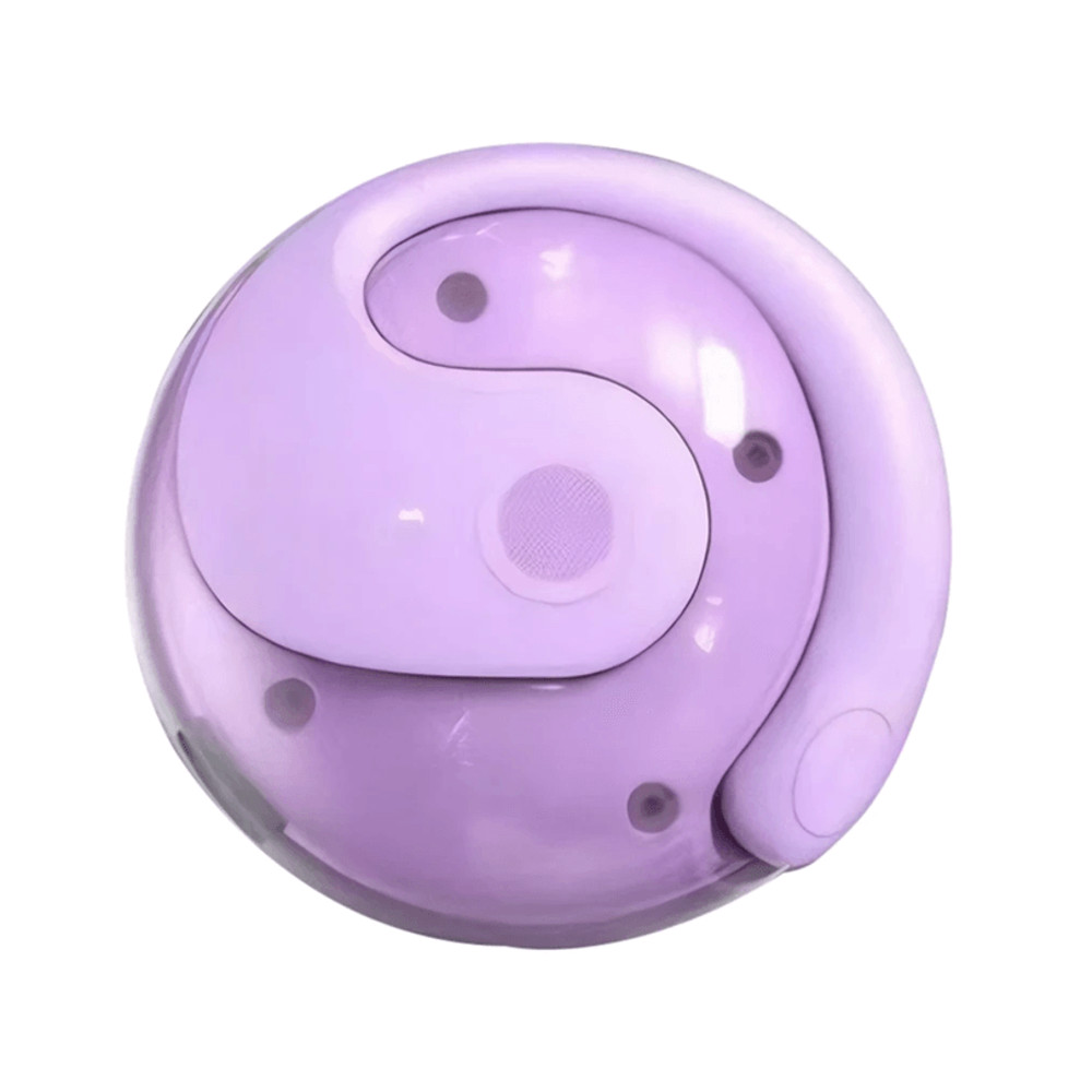 Wireless Translator Earphones Real Time Translator Earbuds Support 144 Languages 5