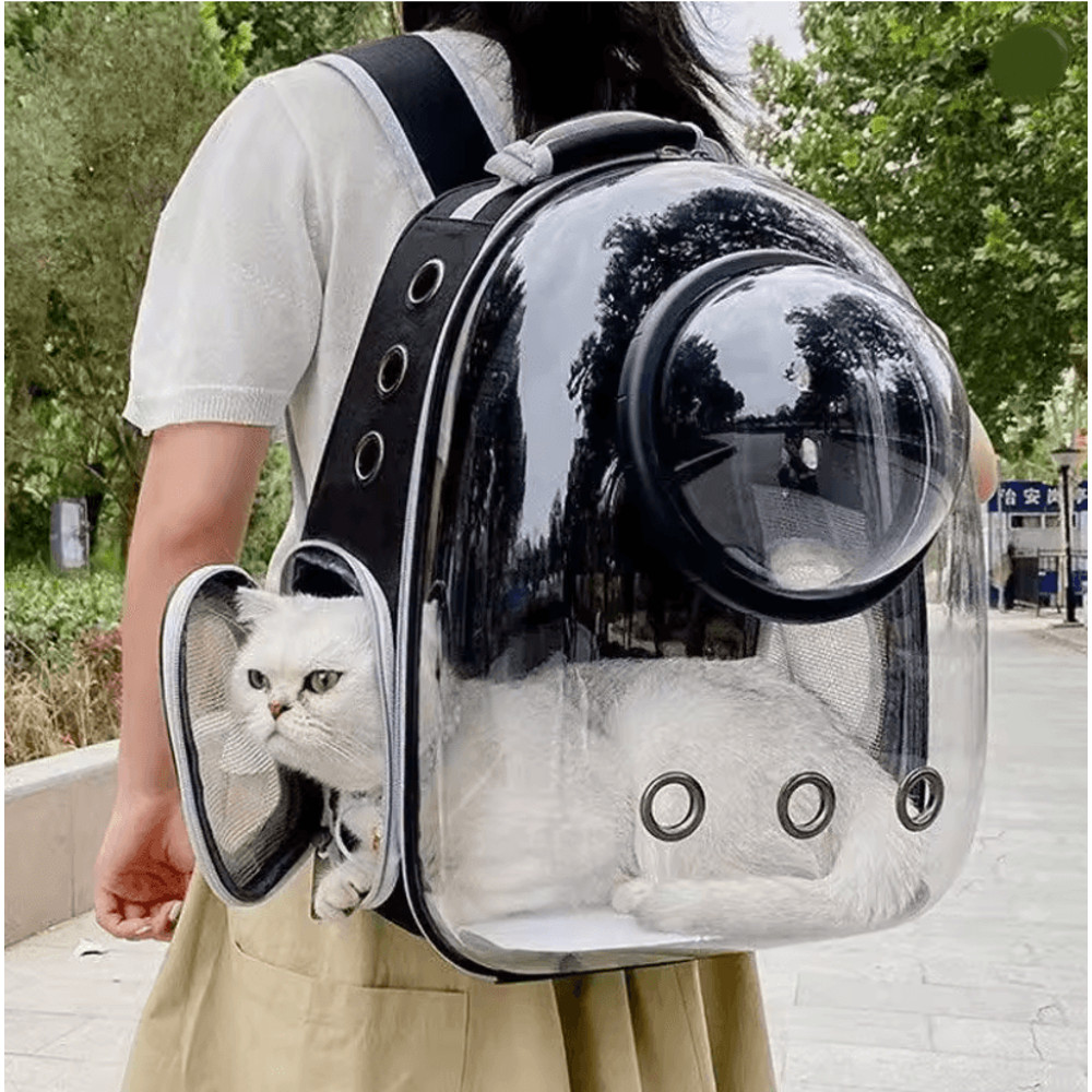 Portable Transparent Pet Backpack Space Capsule Carrier For Cats Dogs 0