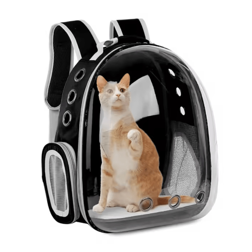 Portable Transparent Pet Backpack Space Capsule Carrier For Cats Dogs 2