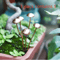 Rustic Metal Mushroom Garden Stakes Set 2