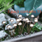 Rustic Metal Mushroom Garden Stakes Set 4